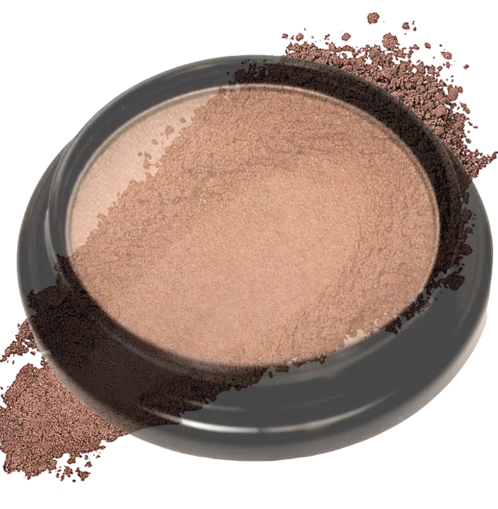 Elan Makeup Studio Professional Eyeshadow Brown Silver