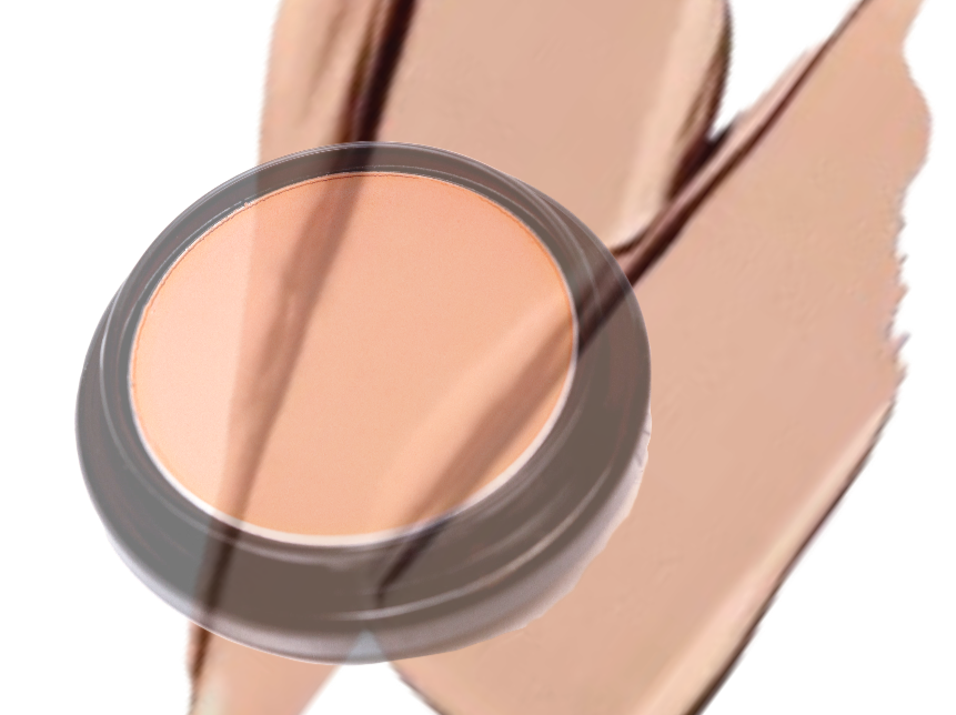 Elan Makeup Studio Cover Up Cream for Full Coverage Professional Concealing