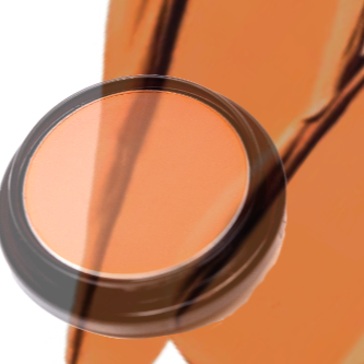 Elan Makeup Studio Cover Up Cream for Full Coverage Professional Concealing