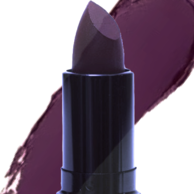 Elan Makeup Studio Long Lasting Professional Lipstick with Satin Finish