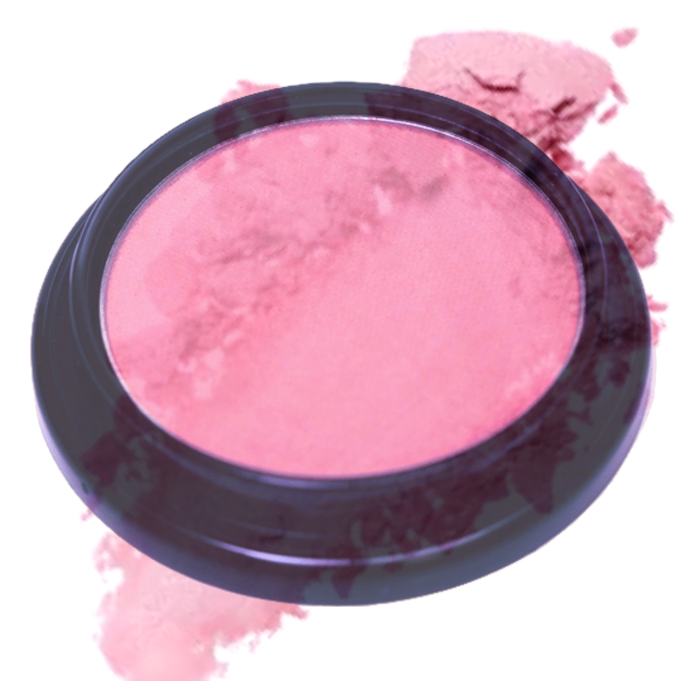 Elan Makeup Studio Blush and Bronzer