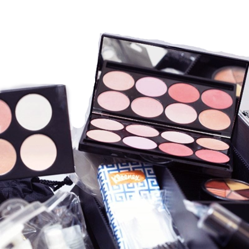 Elan Makeup Studio Pro Makeup Kit