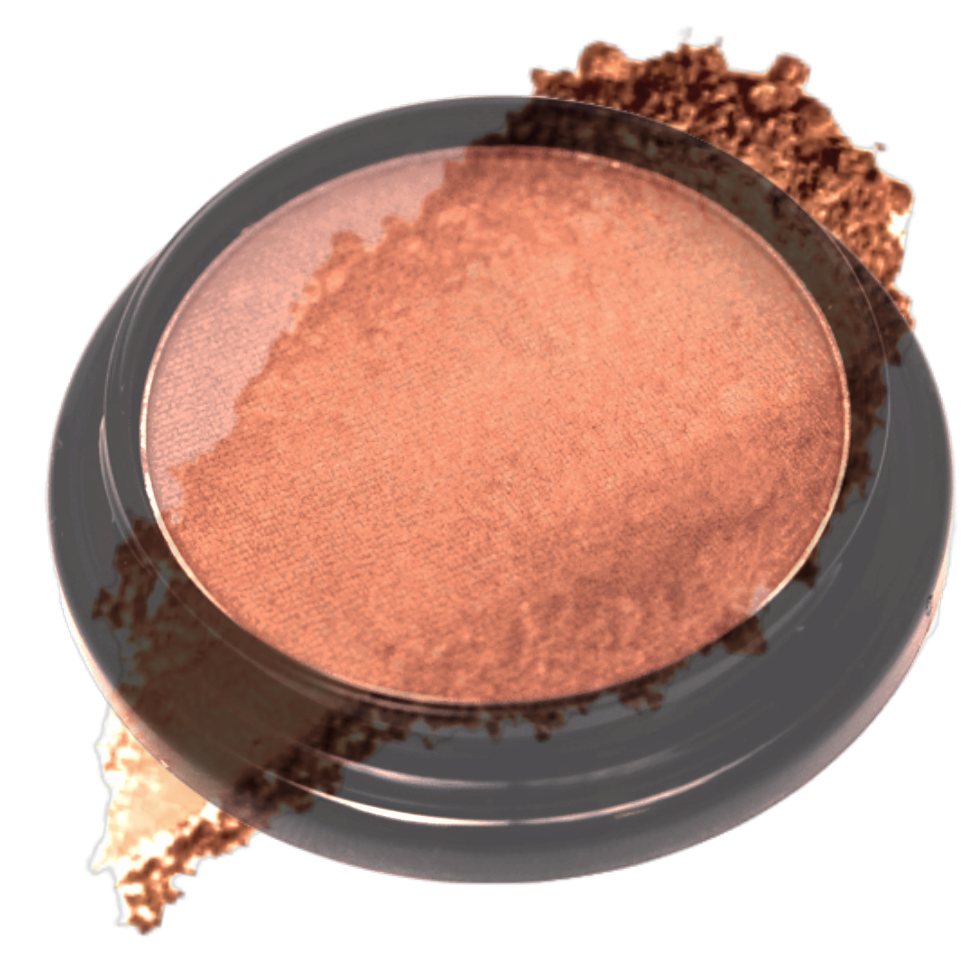 Elan Makeup Studio Blush and Bronzer