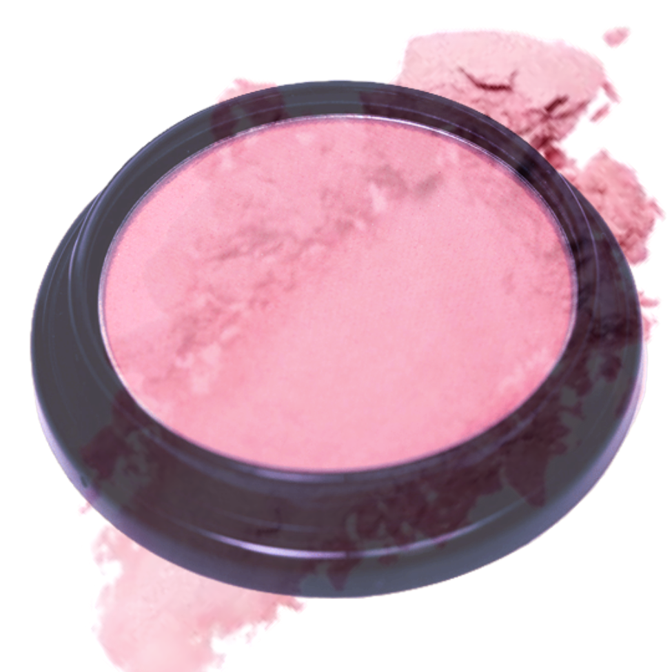 Elan Makeup Studio Blush and Bronzer