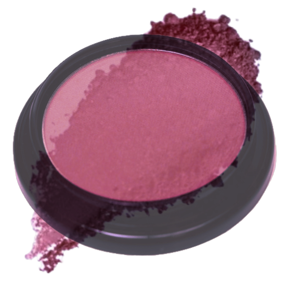 Elan Makeup Studio Blush and Bronzer