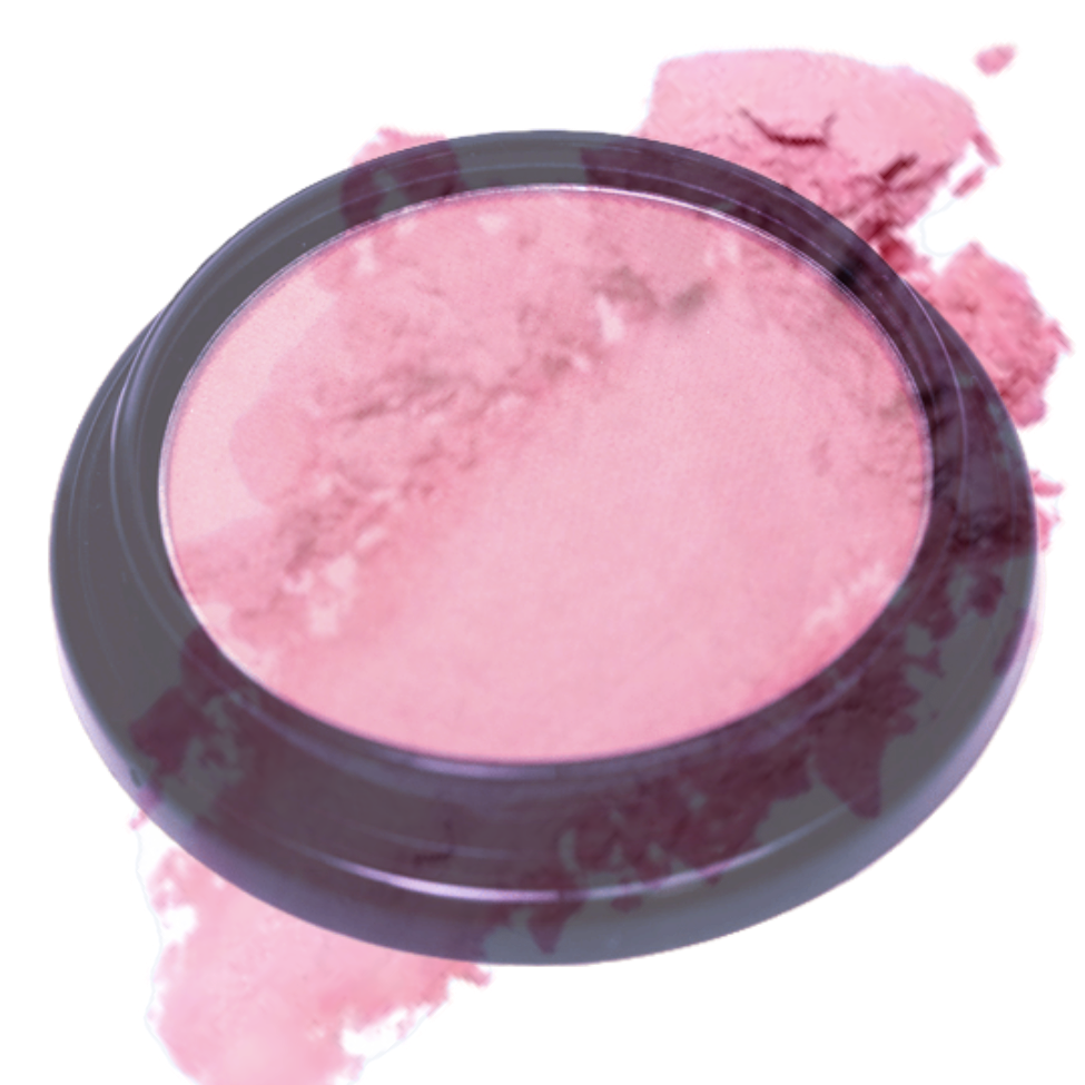 Elan Makeup Studio Blush and Bronzer