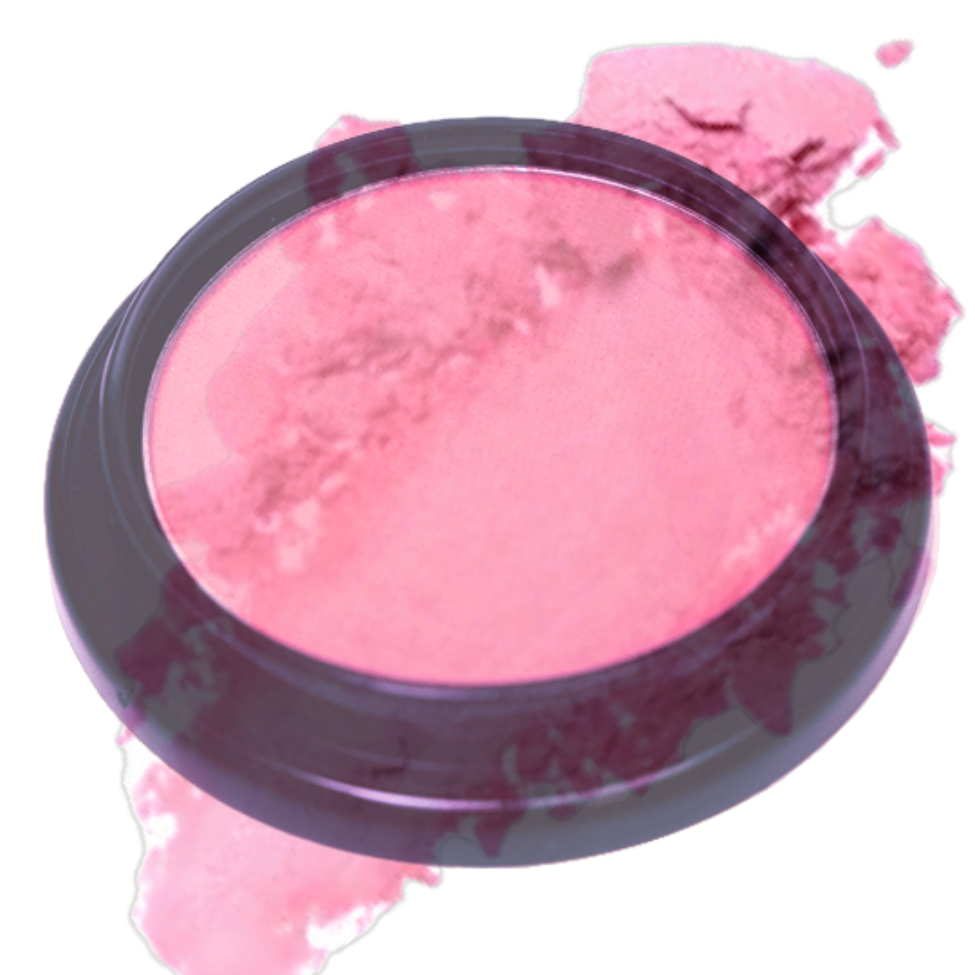 Elan Makeup Studio Blush and Bronzer