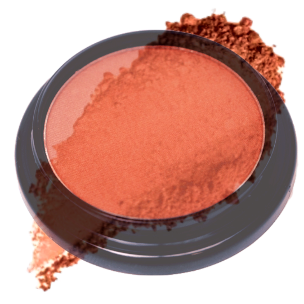 Elan Makeup Studio Blush and Bronzer