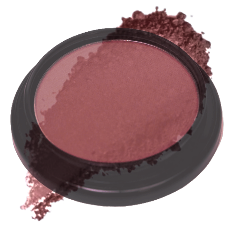 Elan Makeup Studio Blush and Bronzer