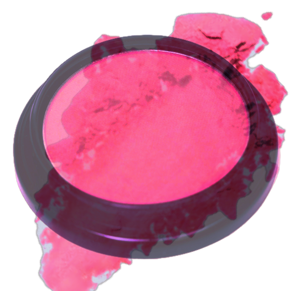 Elan Makeup Studio Blush and Bronzer