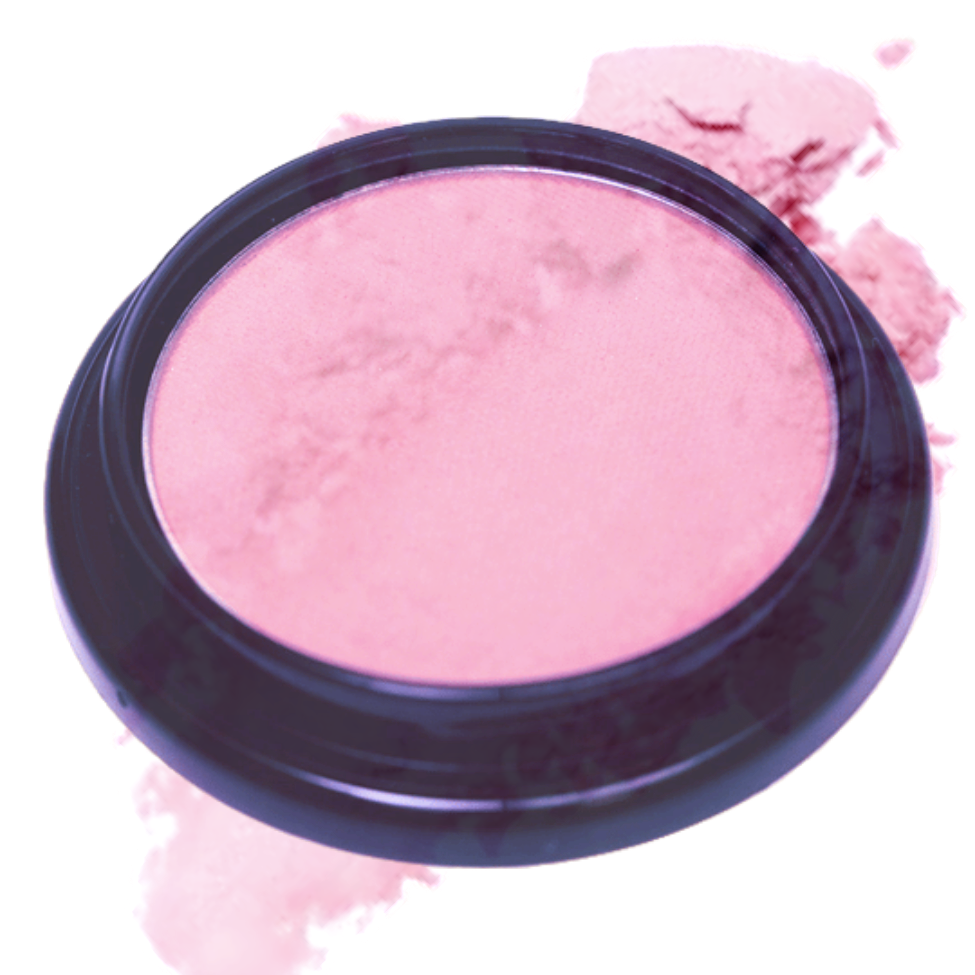 Elan Makeup Studio Blush and Bronzer
