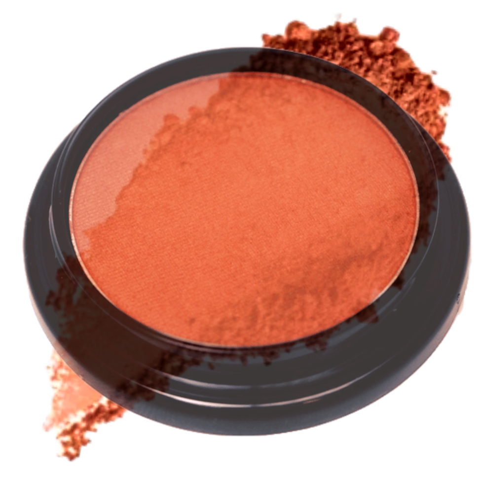 Elan Makeup Studio Blush and Bronzer
