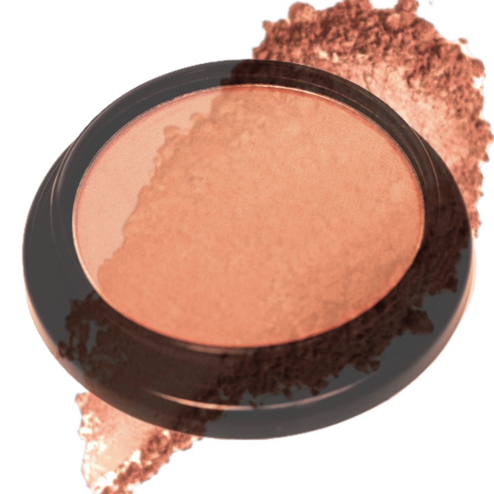 Elan Makeup Studio Blush and Bronzer