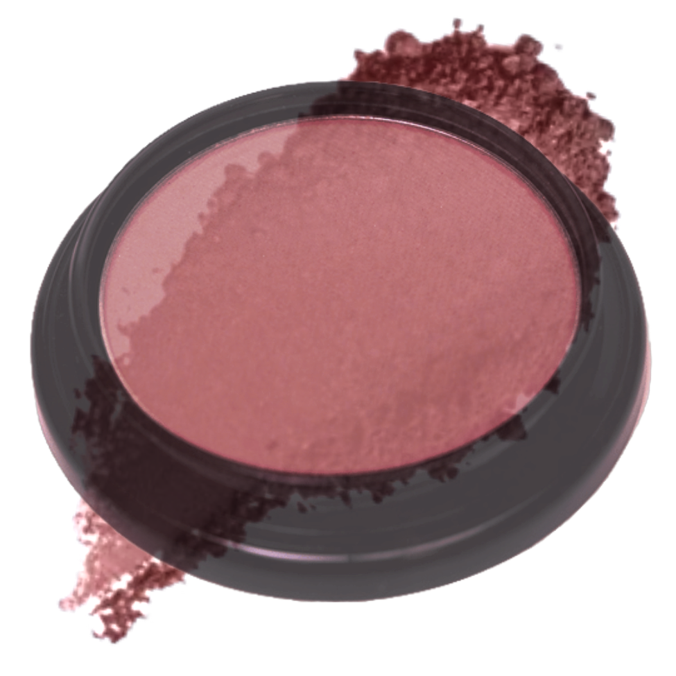Elan Makeup Studio Blush and Bronzer