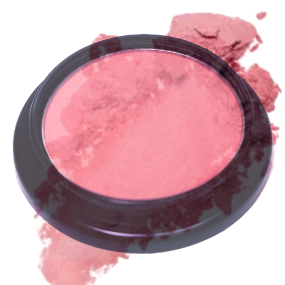 Elan Makeup Studio Blush and Bronzer