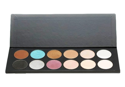 Elan Makeup Studio Professional 12 Pan Eyeshadow Palette with Magnetic Base for Custom Looks
