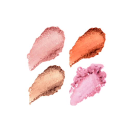 Elan Makeup Studio 4 Pan Customizable Blush Palette with Mirror
