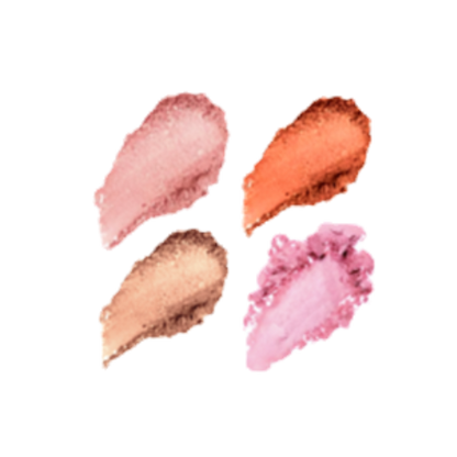 Elan Makeup Studio 4 Pan Customizable Blush Palette with Mirror
