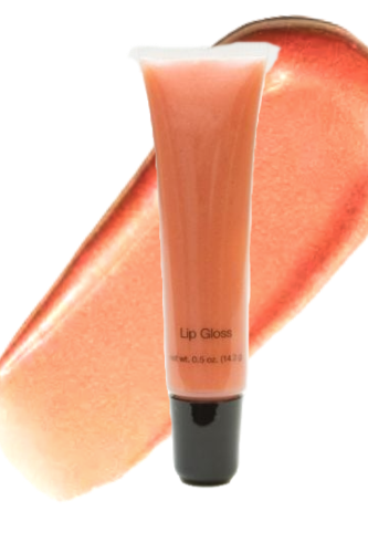 Elan Makeup Studio Lustrous Lip Gloss for Extraordinary Shine and Comfort
