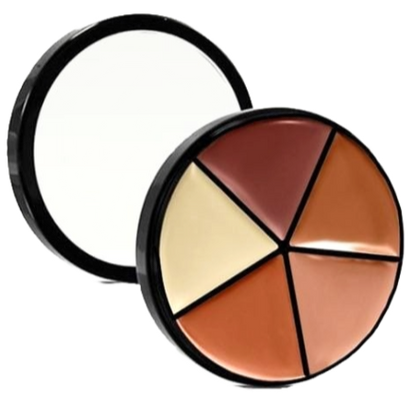 Elan Makeup Studio Professional Lip Palette with Multiple Shades for Custom Looks
