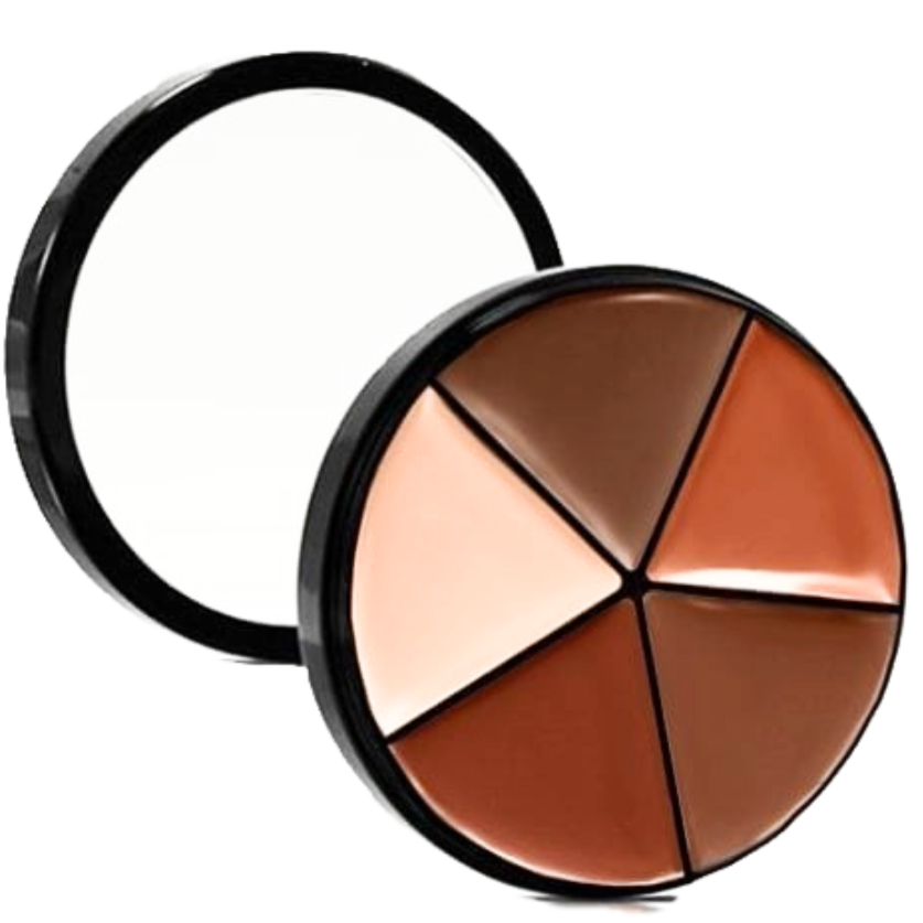 Elan Makeup Studio Professional Lip Palette with Multiple Shades for Custom Looks
