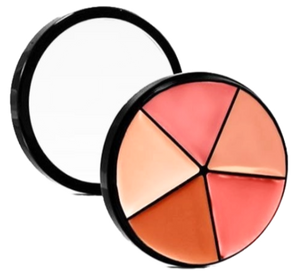 Elan Makeup Studio Professional Lip Palette with Multiple Shades for Custom Looks
