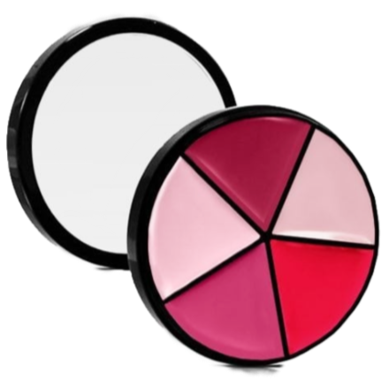 Elan Makeup Studio Professional Lip Palette with Multiple Shades for Custom Looks
