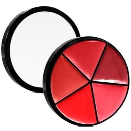 Elan Makeup Studio Professional Lip Palette with Multiple Shades for Custom Looks
