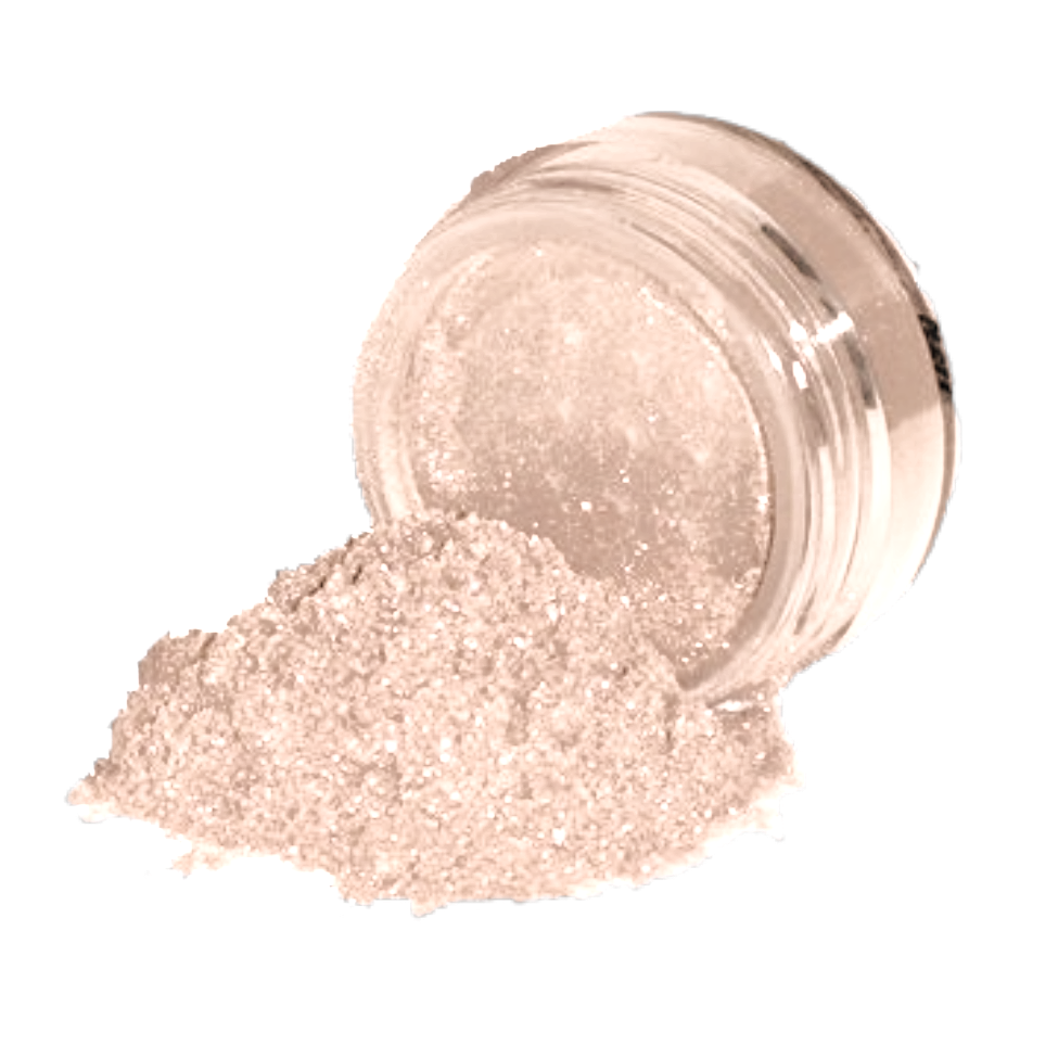 Elan Makeup Studio Professional Loose Shimmer Dust for Face Eyes and Body Highlighting
