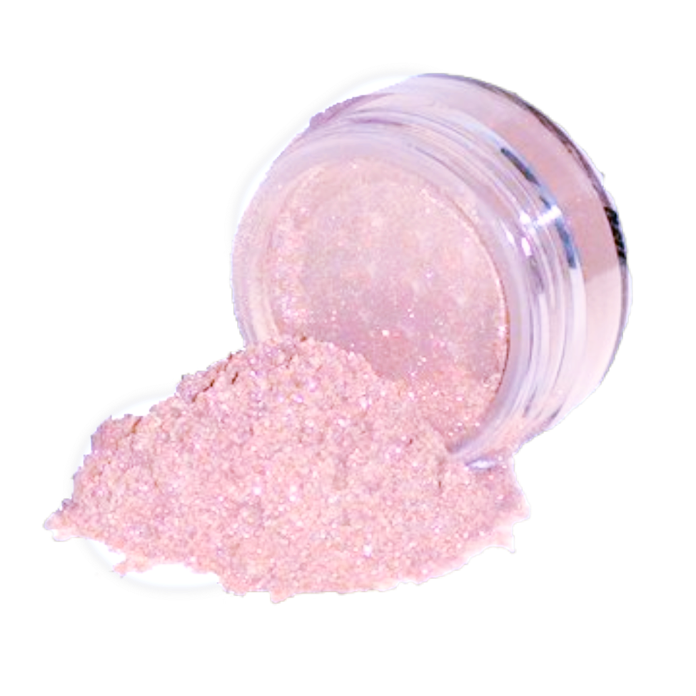 Elan Makeup Studio Professional Loose Shimmer Dust for Face Eyes and Body Highlighting
