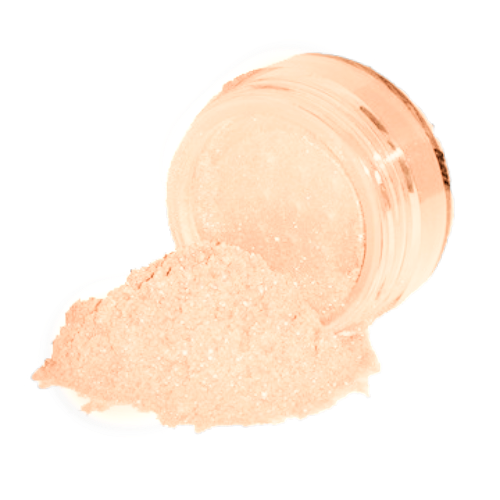 Elan Makeup Studio Professional Loose Shimmer Dust for Face Eyes and Body Highlighting
