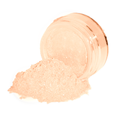 Elan Makeup Studio Professional Loose Shimmer Dust for Face Eyes and Body Highlighting
