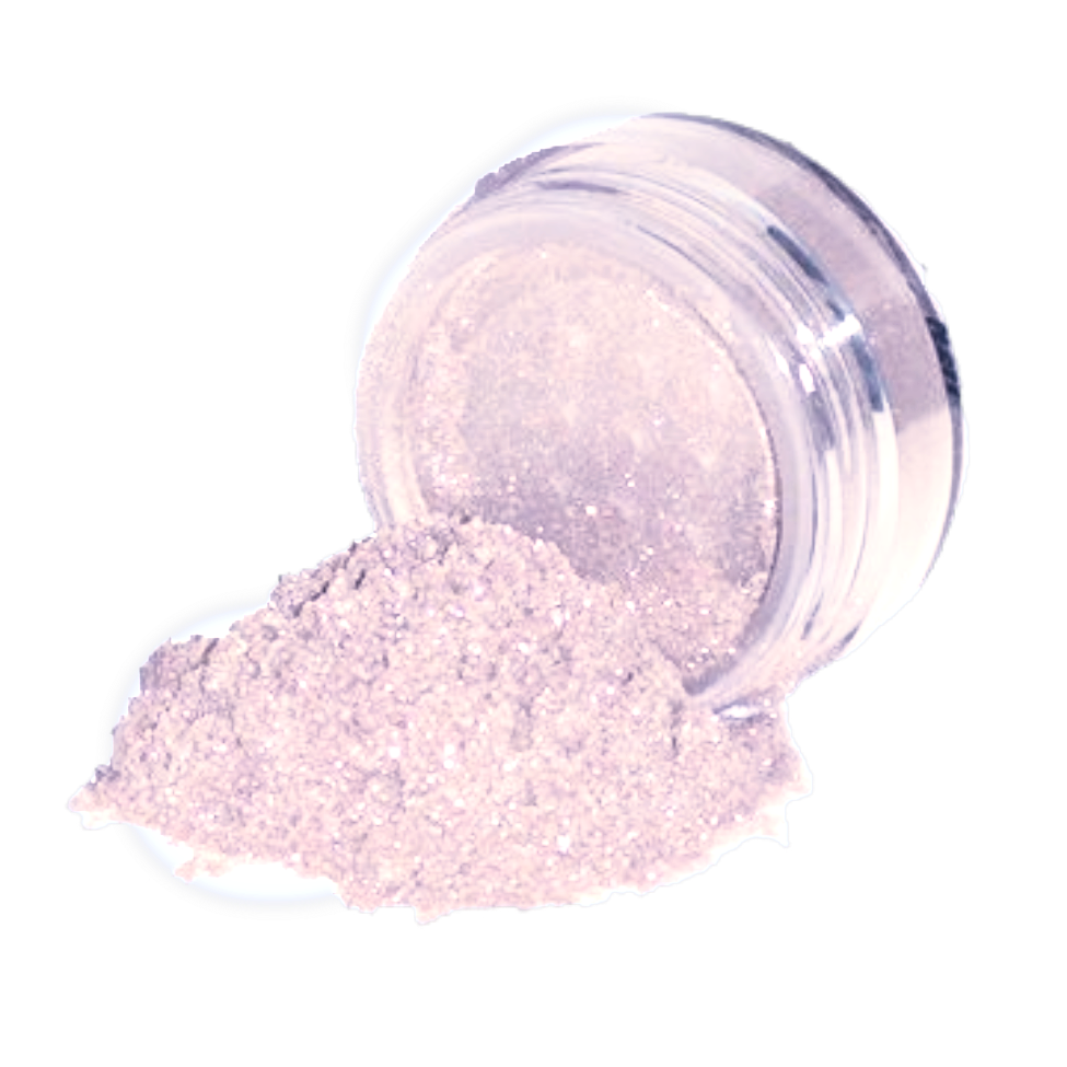 Elan Makeup Studio Professional Loose Shimmer Dust for Face Eyes and Body Highlighting
