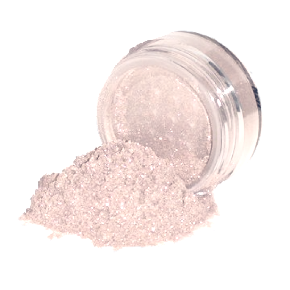 Elan Makeup Studio Professional Loose Shimmer Dust for Face Eyes and Body Highlighting

