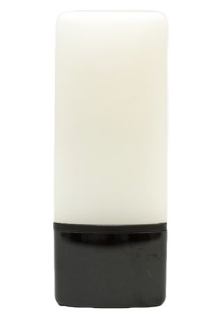 Elan Makeup Studio Velvet Veil Luxurious Primer for Smooth Professional Makeup Application
