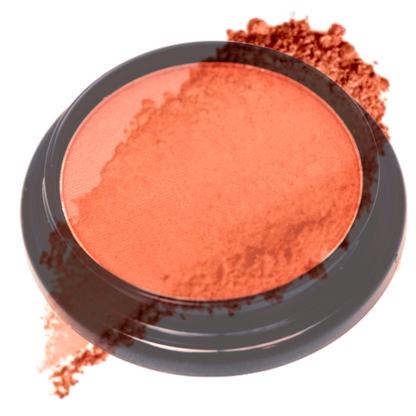 Elan Makeup Studio Professional Blush and Bronzer for Natural Contouring
