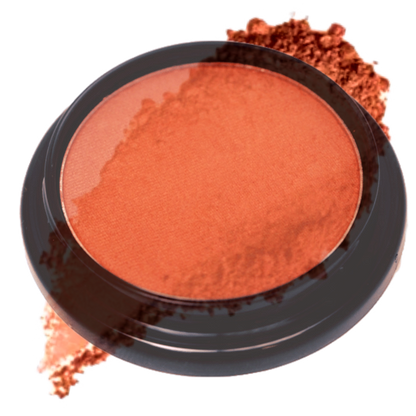 Elan Makeup Studio Professional Blush and Bronzer for Natural Contouring
