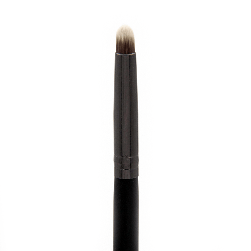 Professional Makeup Brushes