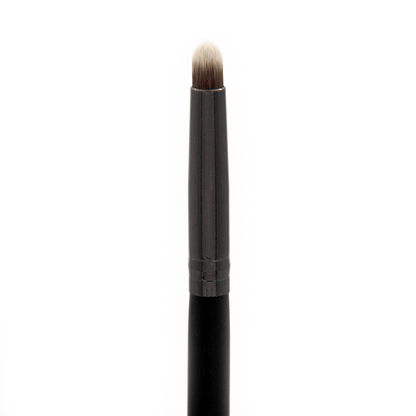 Professional Makeup Brushes