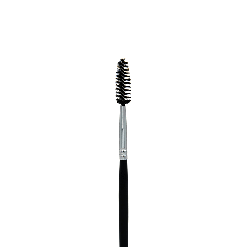Professional Makeup Brushes