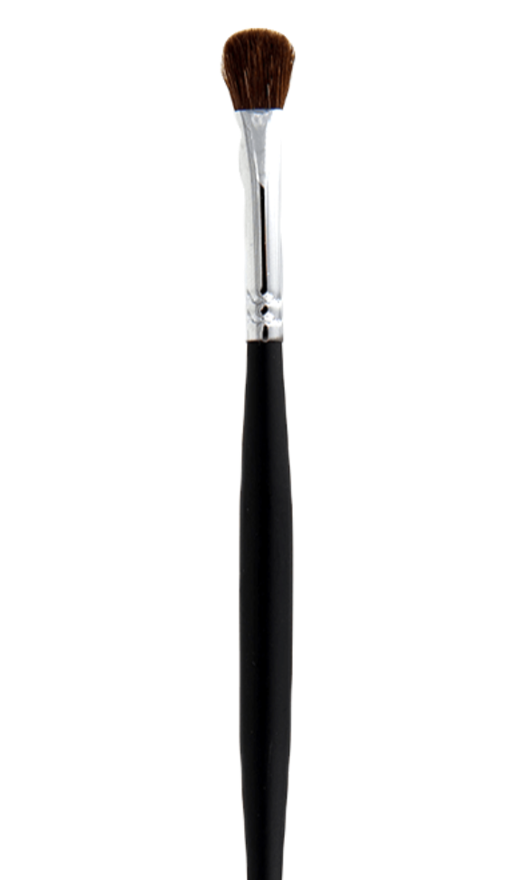 Elan Makeup Studio Deluxe Fluff Brush for Blending

