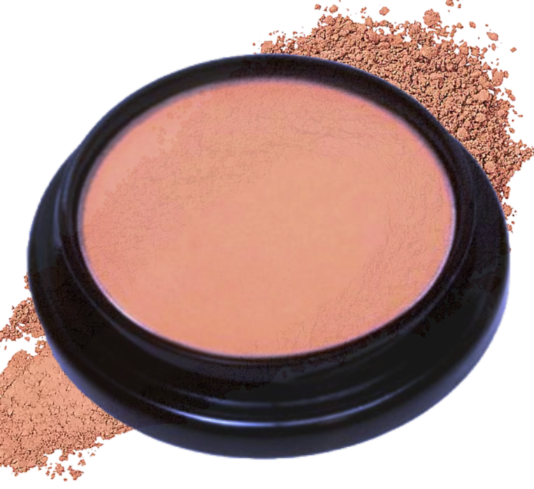 Elan Makeup Studio Professional Eyeshadow Terracotta Matte