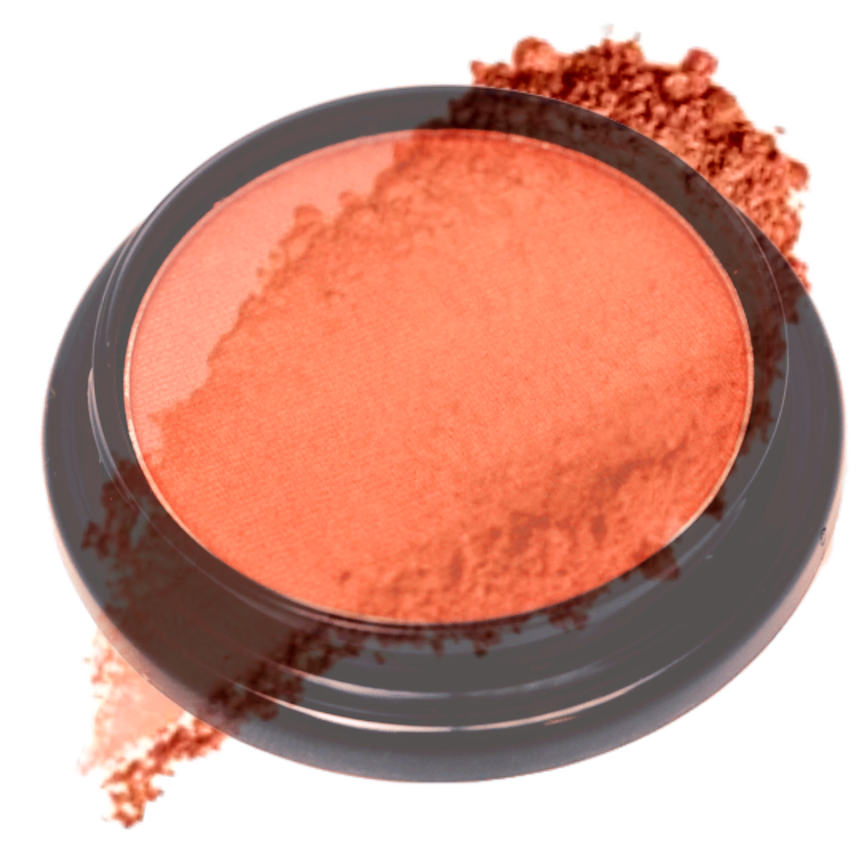 Elan Makeup Studio Blush and Bronzer 