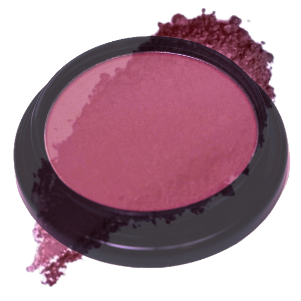 Elan Makeup Studio Blush and Bronzer 