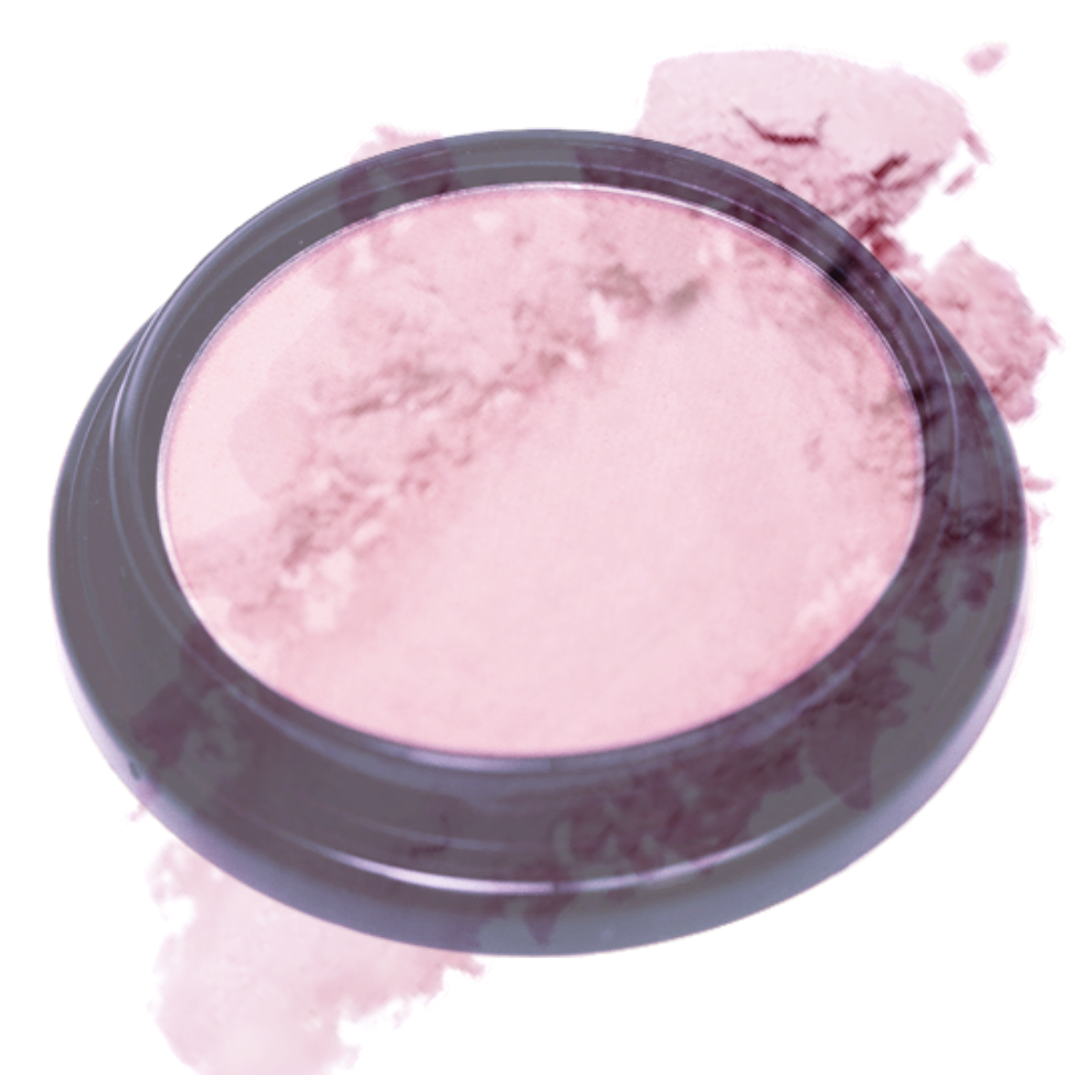 Elan Makeup Studio Blush and Bronzer 