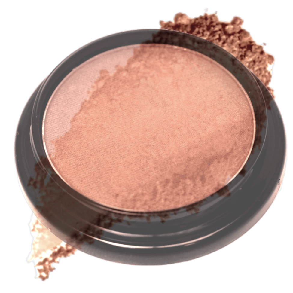 Elan Makeup Studio Blush and Bronzer 