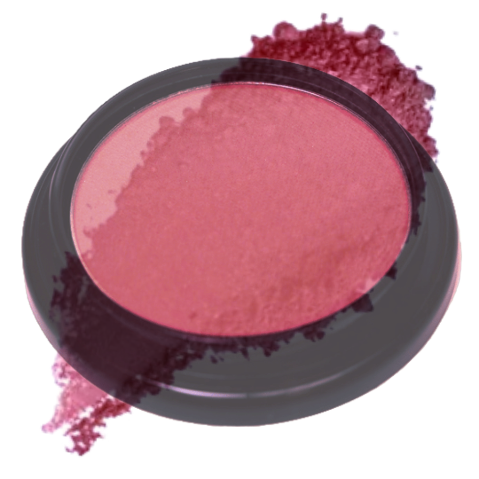 Elan Makeup Studio Blush and Bronzer 