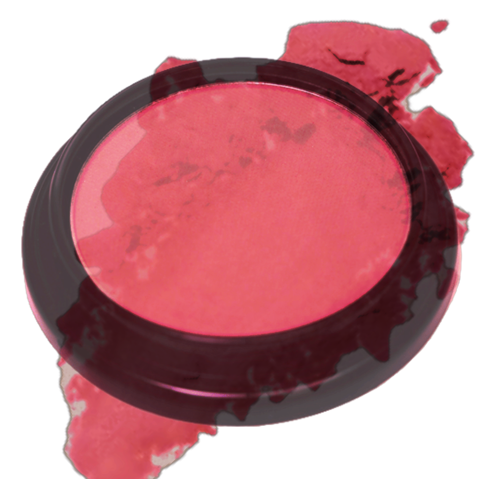 Elan Makeup Studio Blush and Bronzer 