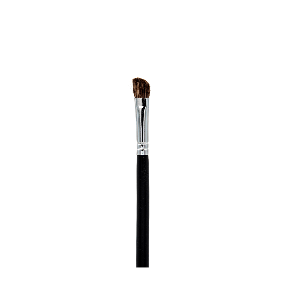 Professional Makeup Brushes